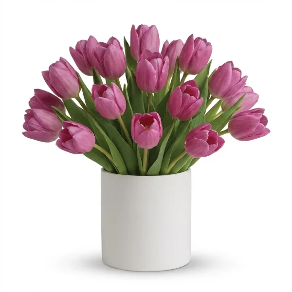 Blush Tulip Grace