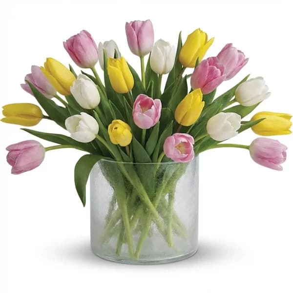 Birdsong Fields Tulips