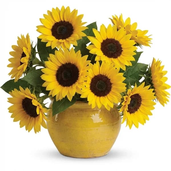 Amber Meadow Pitcher Bouquet