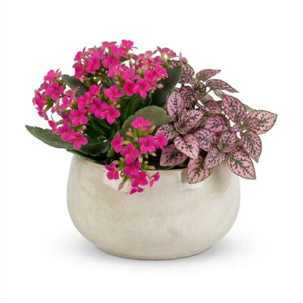 Blushing Charm Bouquet