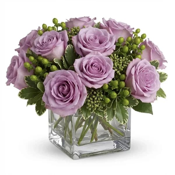 Adored Embrace Blooms