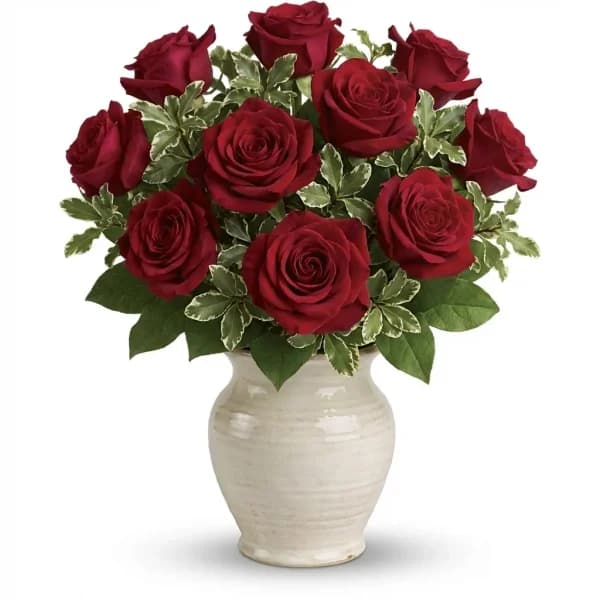 Lustrous Affection Dozen Roses