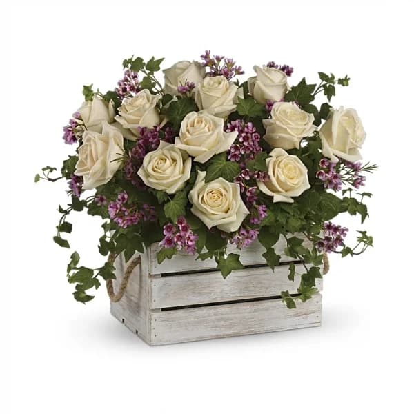 Velvet Glow Arrangement