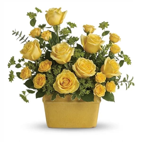 Rose Pitcher Delight