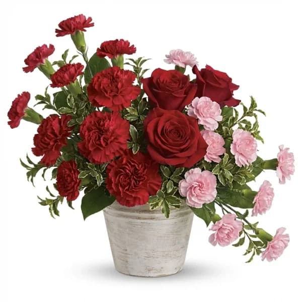 Secret Embrace Arrangement