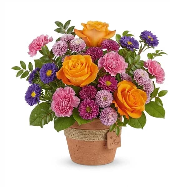 Floral Light Blooms