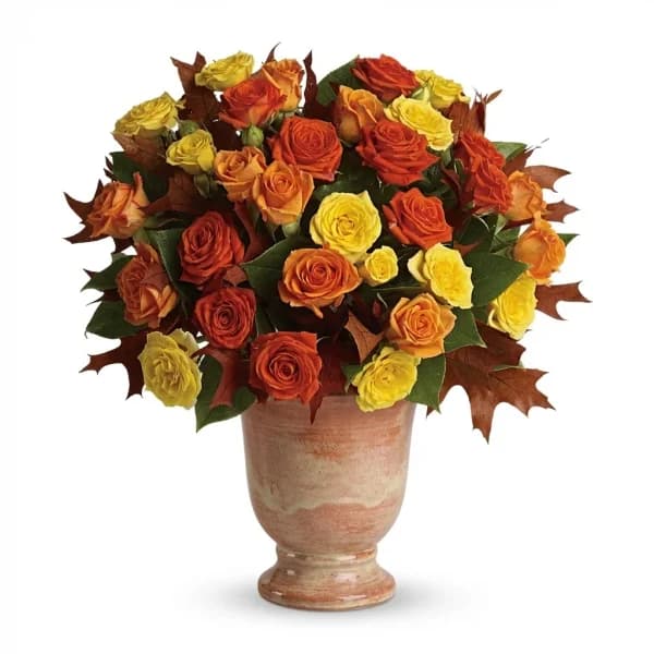 Velvet Harvest Roses