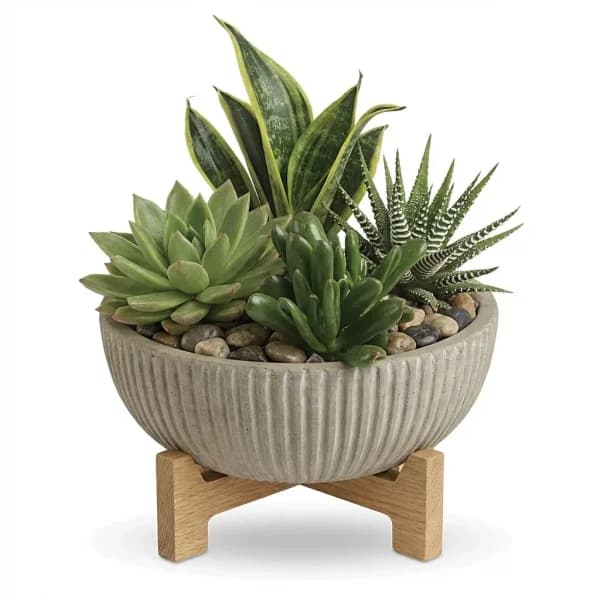 Prairie Dwelling Desert Garden