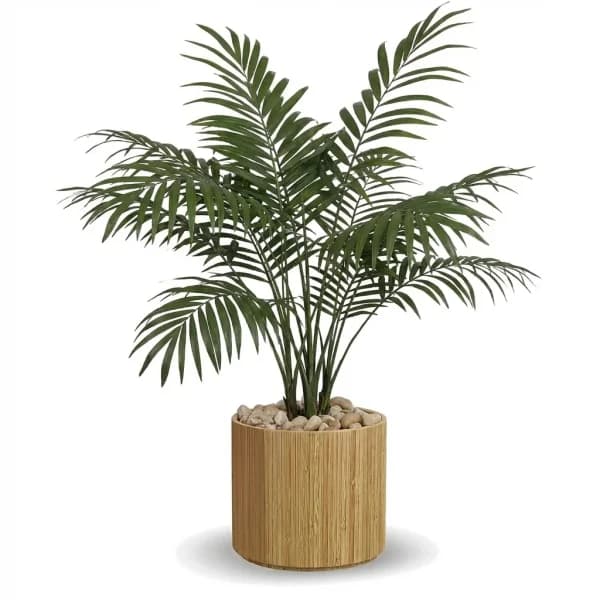Gentle Harbor Houseplant